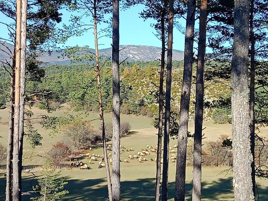 Montagne, Mer Et Verdon Séranon Kültér fotó