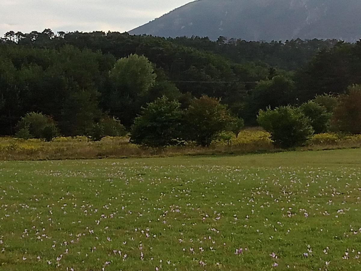 Montagne, Mer Et Verdon Séranon Kültér fotó