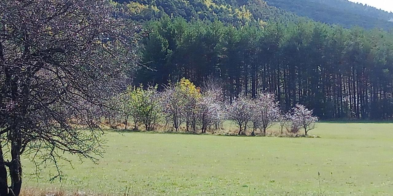 Montagne, Mer Et Verdon Séranon Kültér fotó