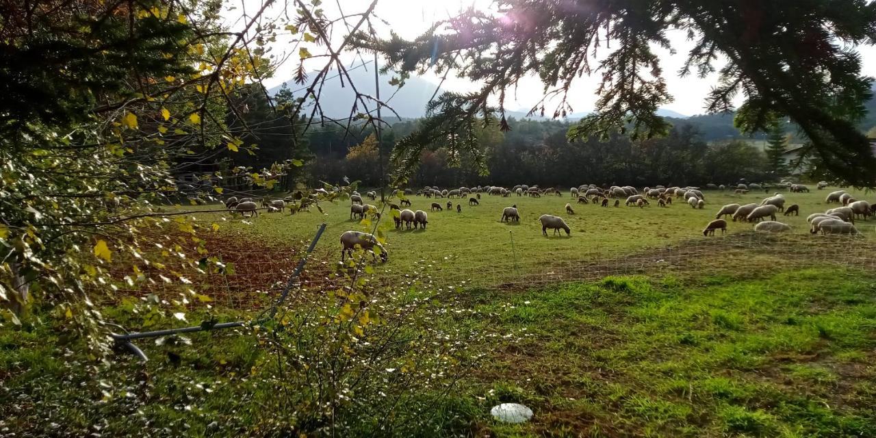 Montagne, Mer Et Verdon Séranon Kültér fotó