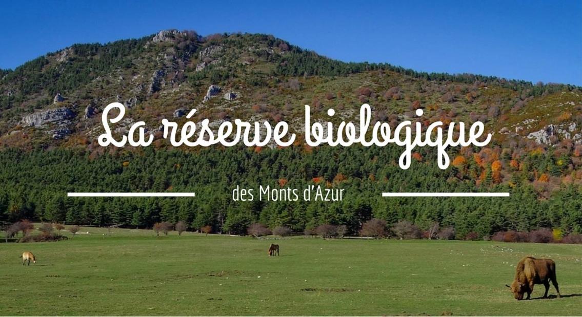 Montagne, Mer Et Verdon Séranon Kültér fotó